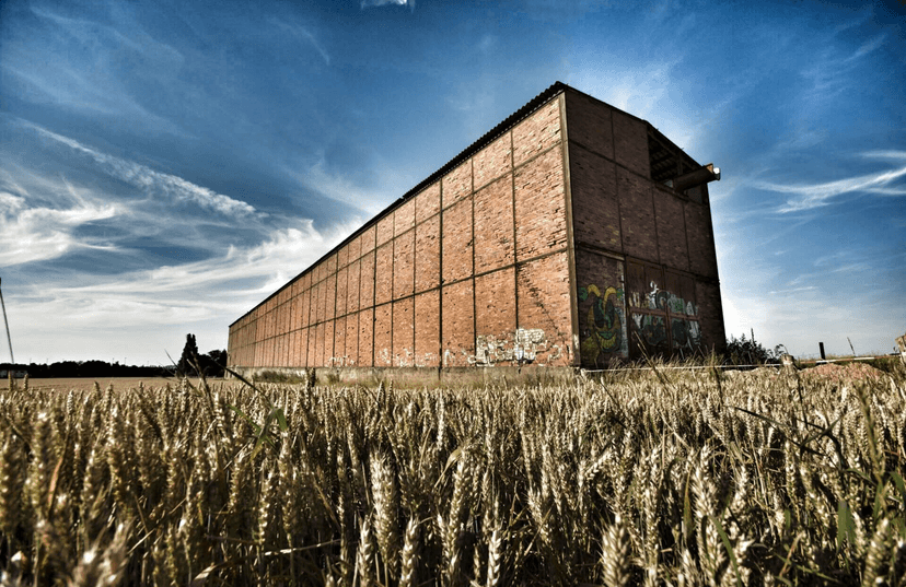 Haupthalle aus dem Weizenfeld