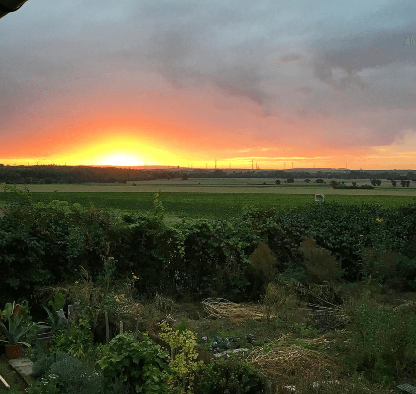 Sonnenuntergang vom Garten